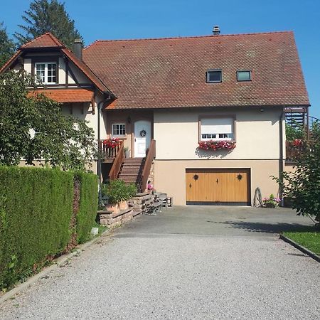 Gite "Le Platane" 45 M2 - Climatise Monswiller Exterior photo