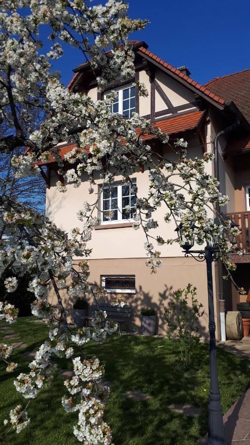 Gite "Le Platane" 45 M2 - Climatise Monswiller Exterior photo