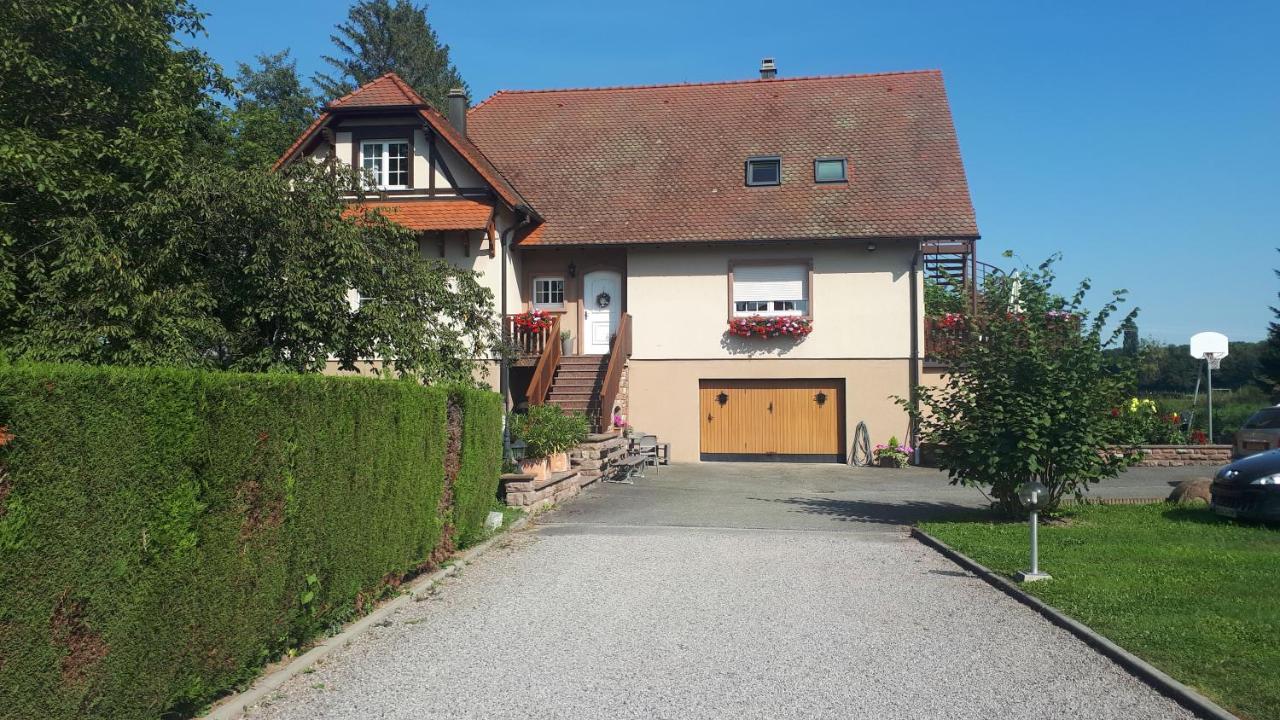 Gite "Le Platane" 45 M2 - Climatise Monswiller Exterior photo